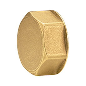 Giacomini R594 Cap for manifolds
