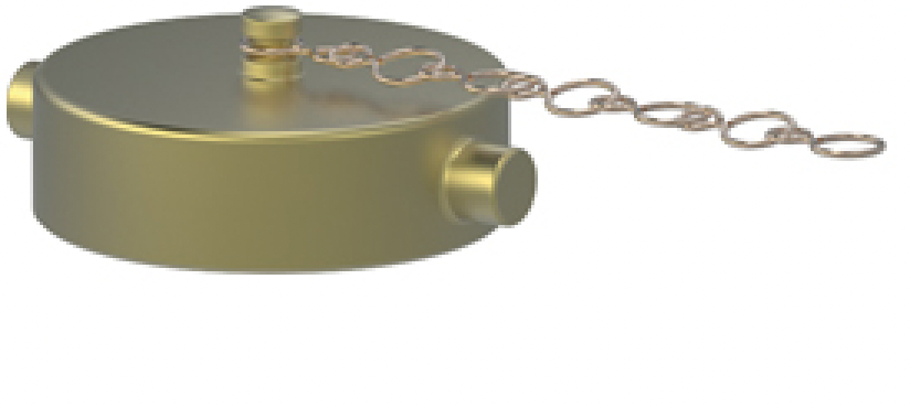 Giacomini A80 Cap and chain