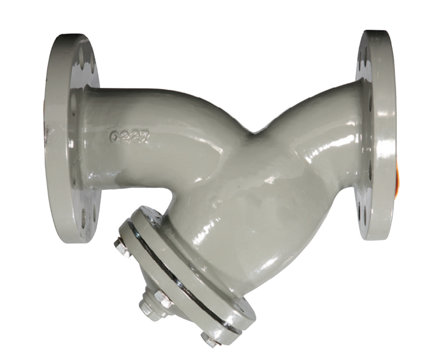 R74FL Strainer with stainless steel screen, epoxy painted