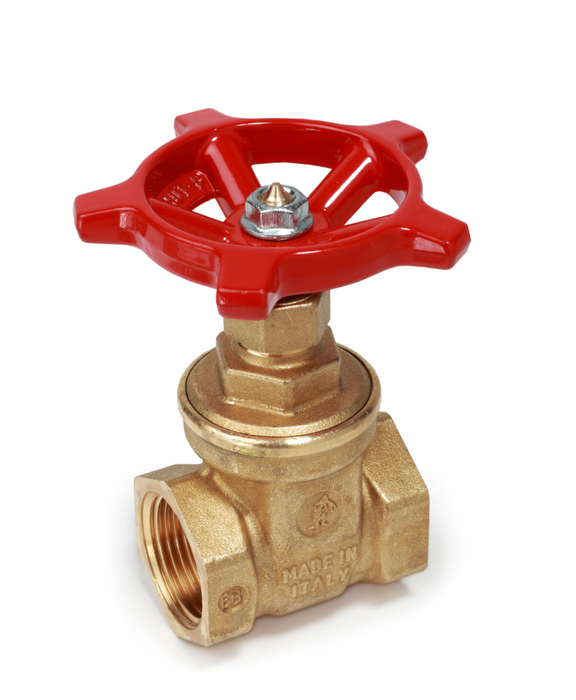R55 Gate valve with female-female connections